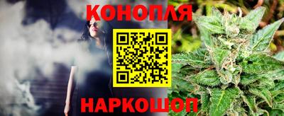 сатива Владивосток