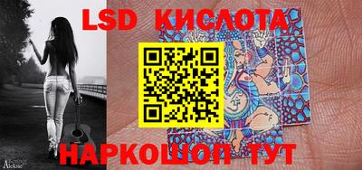винт Владимир