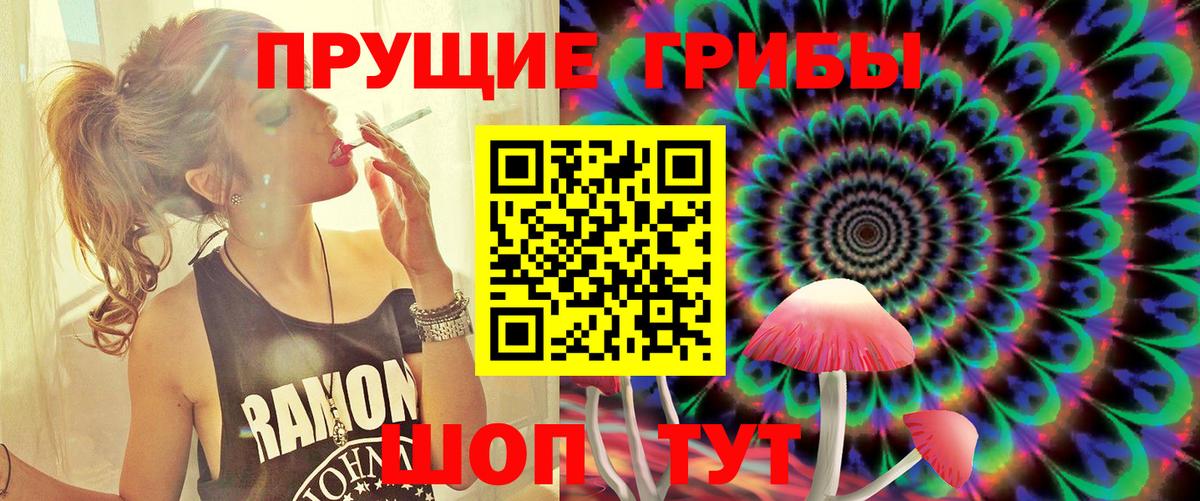 Псилоцибиновые грибы мицелий Узловая